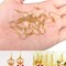 120 Pieces Earring Hooks with Ball and Coil, Hypo Allergenic Plated Gold Ear Wires with Transparent Storage Box, for DIY Jewelry Making